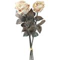 Floristik24 Deko Rosen Cremeweiß Künstliche Rosen Seidenblumen Antik Optik L65cm 3St