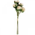 Floristik24 Deko Rosen Creme Künstliche Rosen Seidenblumen 50cm 3St