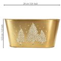 Deko-Schale Metall oval 24×13×12,5cm Gold mit Tannenbaum-Motiv für Weihnachten und Innenbereich | Floristik24.ch