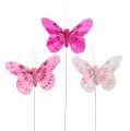 Floristik24 Deko Schmetterling Rosa-Pink sort. 6cm 24St