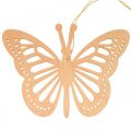 Deko Schmetterlinge Dekohänger Orange/Rosa/Gelb 12cm 12St