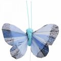 Deko-Schmetterlinge Federschmetterling Rosa, Blau 6cm 24St