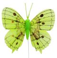 Floristik24 Deko Schmetterlinge Grün 8cm 6St