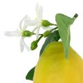Floristik24 Dekoobst, Zitronen mit Laub Gelb 9,5cm 4St