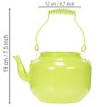 Dekorative Teekanne aus Metall, apfelgrün, Ø12 cm, Blumenvase für Innenbereich | Floristik24.ch