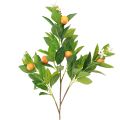 Floristik24 Dekozweig Orangen und Blüten Orangenzweig künstlich 78cm