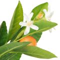 Dekozweig Orangen und Blüten Orangenzweig künstlich 78cm | Floristik24.ch