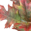 Dekozweig Herbst Deko Blätter Eichenlaub Rot, Grün 100cm