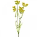 Floristik24 Gelber Dill, Künstliche Kräuterpflanze, Dill zum Dekorieren L80cm