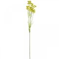 Floristik24 Gelber Dill, Künstliche Kräuterpflanze, Dill zum Dekorieren L80cm