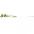 Floristik24 Dill blühend, Kunstpflanze, künstliche Kräuter Grün, Weiß L80cm