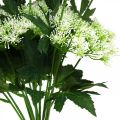 Floristik24 Dill blühend, Künstliche Kräuter, Dekopflanze Grün, Weiß 49cm 9St