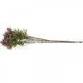 Distel Künstliche Stielblume Rosa 10 Blütenköpfe 68cm 3St