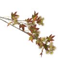 Künstlicher Herbstzweig Amberbaum mit Laub und Fruchtständen 132 cm | Floristik24.ch