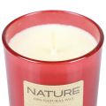Duftkerze im Glas Naturwachs Kerze Winter Dreams 85×70mm | Floristik24.ch