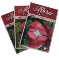Floristik24 Duftkerzen Erdbeere, Teelichter Duft, Raumduft Kerze Ø3,5cm H1,5cm 18St