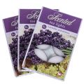 Floristik24 Duftkerzen Lavendel Mimose, Teelichter Duft Ø3,5cm H1,5cm 18St