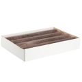 Durchgefärbte Kerzen Stabkerzen Kupfer 50x300mm 4 St | Floristik24.ch