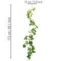 Künstliche Efeu-Girlande 173 cm aus Kunststoff, grün | Floristik24.ch