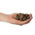 Eichelkappen aus Naturmaterial ca. 2 cm Braun 300 g für Herbst- und Adventsdekoration | Floristik24.ch