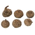 Eichelkappen aus Naturmaterial ca. 2 cm Braun 300 g für Herbst- und Adventsdekoration | Floristik24.ch