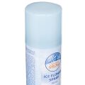 Eisblumenspray 150 ml weiss für Fenster und Glasdekoration | Floristik24.ch