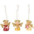 Floristik24 Deko-Anhänger Engel aus Holz 5 cm bunt mit Stern 9 Stück