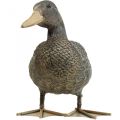 Floristik24 Ente Gartenfigur Dekofigur Entenfigur zum Stellen H18cm