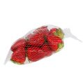 Floristik24 Erdbeere Rot 5cm im Netz 12St