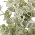 Künstlicher Eukalyptuszweig 49cm Grün 4er Set | Floristik24.ch