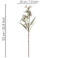 Künstlicher Eukalyptuszweig 3er Set 53cm Grün Kunststoff | Floristik24.ch