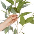 Künstlicher Eukalyptuszweig aus Kunststoff naturgrün 100cm für Innenbereich | Floristik24.ch