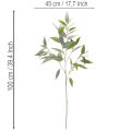 Künstlicher Eukalyptuszweig aus Kunststoff naturgrün 100cm für Innenbereich | Floristik24.ch