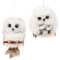 Floristik24 Eulen-Dekofiguren aus Federn und Kunststoff zum Hängen 6 cm Weiss Grau 2er-Set