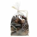 Floristik24 Exoten Sortiment Natur 300g