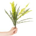 Kunstfarn Zweig 45 cm Grün aus Kunststoff für Dekoration | Floristik24.ch
