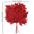 Konservierter Farnzweig in Herbstrot 42cm 10er-Set | Floristik24.ch
