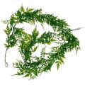 Floristik24 Künstliche Hängepflanze Blätterranke Girlande Grün 150cm