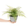 Künstlicher Farn im grauen Pflanztopf 35 cm Grün für Innenräume | Floristik24.ch