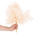 Trockendeko Farn Naturmaterial rosa 42cm 10er-Set | Floristik24.ch