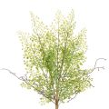 Floristik24 Künstlicher Ruscus Zweig Grün 41 cm Kunststoff für Floristik und Wohndekoration