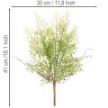 Künstlicher Ruscus Zweig Grün 41 cm Kunststoff für Floristik und Wohndekoration | Floristik24.ch