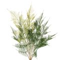 Floristik24 Künstlicher Farnzweig aus Kunststoff grün 56cm für Dekorationen