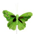 Floristik24 Federschmetterling 8,5cm Grün 12St