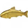 Floristik24 Deko Fisch zum Hinstellen, Fischskulptur Polyresin Golden Groß L25cm