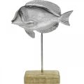 Floristik24 Fisch zum Stellen, Maritime Deko, Dekofisch aus Metall Silbern, Naturfarben H23cm