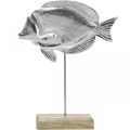 Floristik24 Deko-Fisch, Maritime Deko, Fisch aus Metall Silbern, Naturfarben H28,5cm
