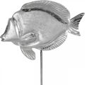 Floristik24 Deko-Fisch, Maritime Deko, Fisch aus Metall Silbern, Naturfarben H28,5cm