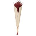 Flachs Bordeaux Rot Trockendeko Trockenblumen L55cm 80g | Floristik24.ch