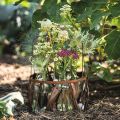 Transparente Glasflasche Vase Ø7,5 cm H19 cm für Dekoration und Blumen | Floristik24.ch